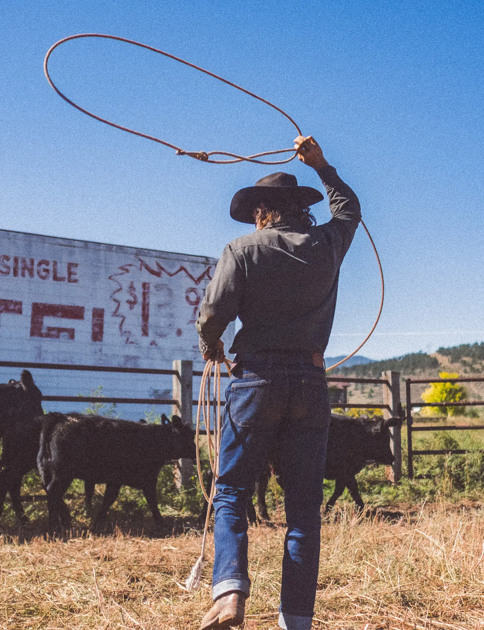 ORIGIN® MAVERICK JEANS - BOOT CUT - Image 7